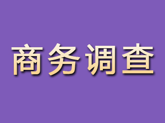 湾里商务调查